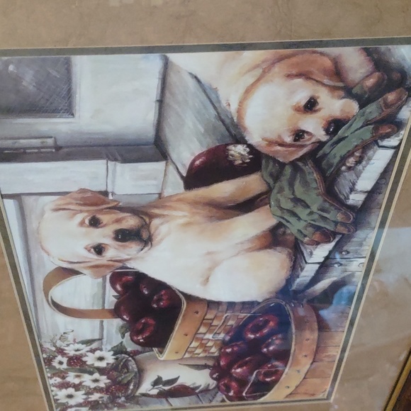 VINTAGE HOME AND GARDEN FRAMED PICTURE YELLOW LABS APPLES GORGEOUS - Picture 4 of 5